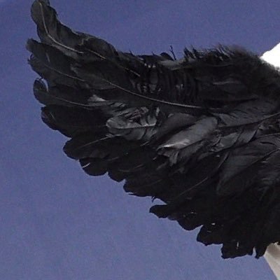 taboutl's profile picture. 