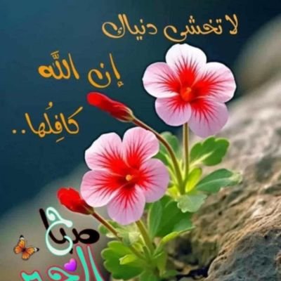 mssms1177050's profile picture. 