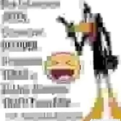 h81076's profile picture. 