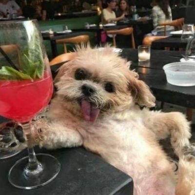 kokopam_co's profile picture. 