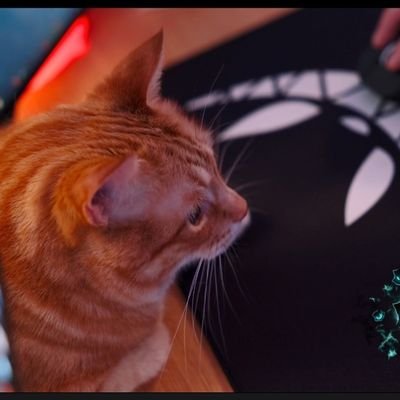 - I want to be a cat
- Just a sad song with nothing to say