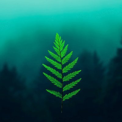 JonTurkJT's profile picture. 