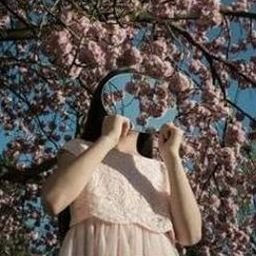 Xipie2849300's profile picture. 