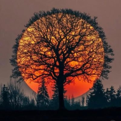 24Mattdaniel's profile picture. life go far pass Wetin you dey reason ooo😂😂 #buckleup 💯 ..//Manchester is red 🔥🔥❤️❤️❤️.. //die hard lakers fan 💜💛
Déndé Ekùn 🐅