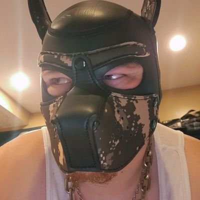 HushhhhPuppy's profile picture. 🚭 no smoking inside please 🚭

I'm just a big dumb loud dog