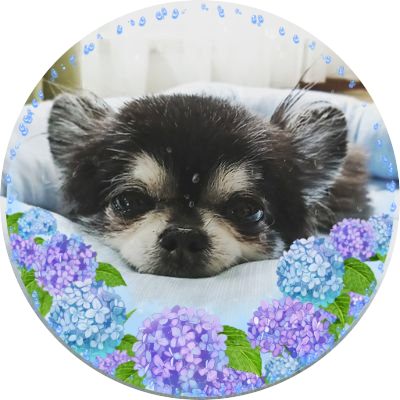 セリさんのプロフィール画像