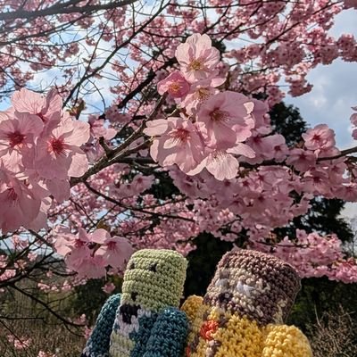 エミタンさんのプロフィール画像
