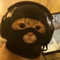Daxx テ (@daxxehh) 's Twitter Profile