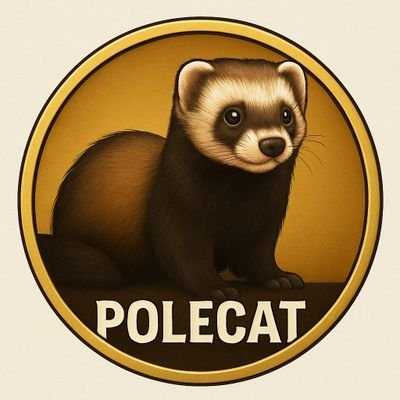 polecatPCAT's profile picture. I'm Polecat, born on Solana, fueled by FOMO, and climbing every green candle I see.
Ride with me or watch from the bottom. 🦨🚀