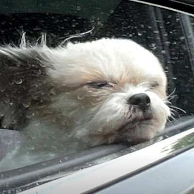 ikjedda's profile picture. 