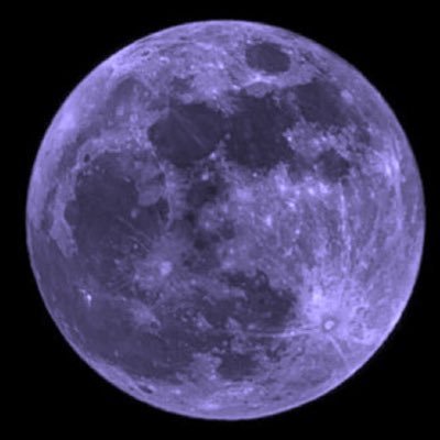 formerly known as moon, but my divine queen bibipie has assigned me a new name, gagitoon. also known as rice truther #1