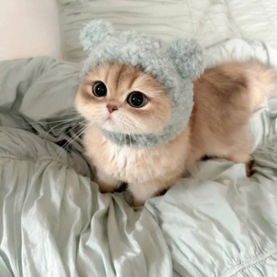 AnnaKosma8's profile picture. When you are doing something, you must first decide on your ambition. Once you have decided on your ambition, you must go all out and execute it without hesitat