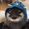 keylocco's profile picture. 🦮🐹                                                                                                 
barely here