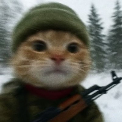 shits about to get real
