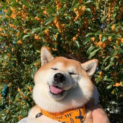 pxin_ding's profile picture. 