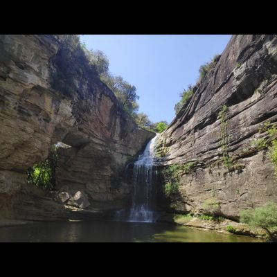 fpinedadelgado's profile picture. 