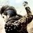 Louis514's profile image