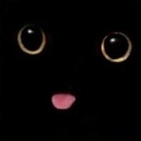 VantaFi (@vanta_fi) 's Twitter Profile
