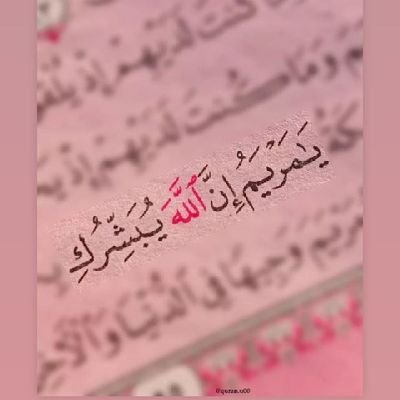 PeonRose2026701's profile picture. Maryam  Mohamed 💫