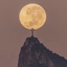 Scrupulous231's profile picture. Dreams come true only if you believe and chase them | Culer ❤️💙 | yes true love exist but not for you!!!!!!