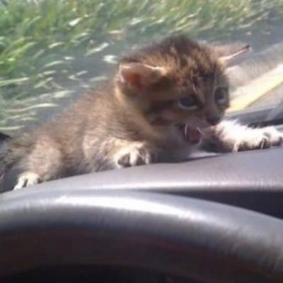 reirasrr's profile picture. 