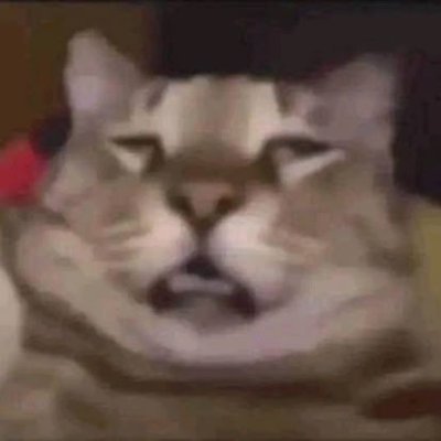 Matzi327's profile picture. IG: max_.pl