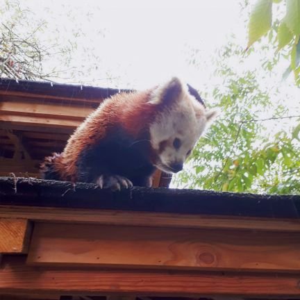 marcbln36's profile picture. 