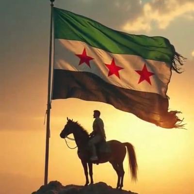 ابن الشمال السوري Profile