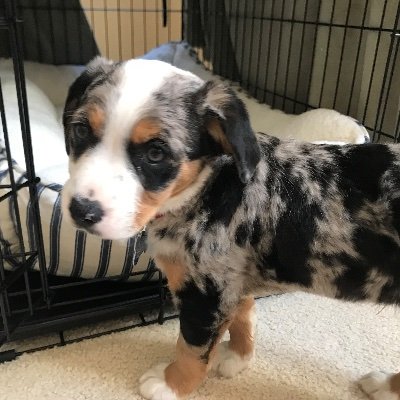 DugdaleK92640's profile picture. 