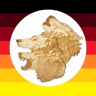 Abschiebedienst@Deutschland - 💯 % Deutscher - Ernsthaft und alle Bilder hier sind Netzfunde 🇩🇪🫡