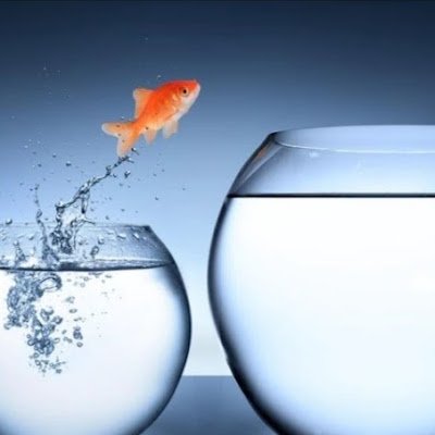 The_AaZaaDii's profile picture. آذادی ماں باپ سےکپڑوں سےپاکستان سےنیاپاکستان کی کھچ مارنےوالےنیازی چورکوقاہداعظم کاپاکستان پسند نہیں یہ ھندونستان کہ مسلمان سےپوچھٶ جو ھندو کہ غلام ہیں😕