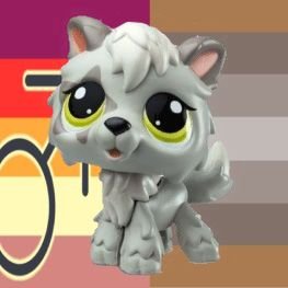 alex the lps lover (butch pride addition)ᯓ★ Profile
