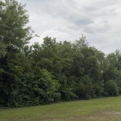 wangquanji9_sol's profile picture. 