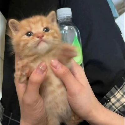 JuanraaRC's profile picture. @FlyQuest @T1lol