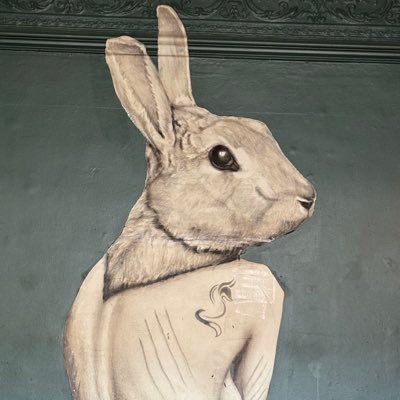 Natschick's profile picture. Here for the animals and the planet. Born at 324.43ppm CO2.