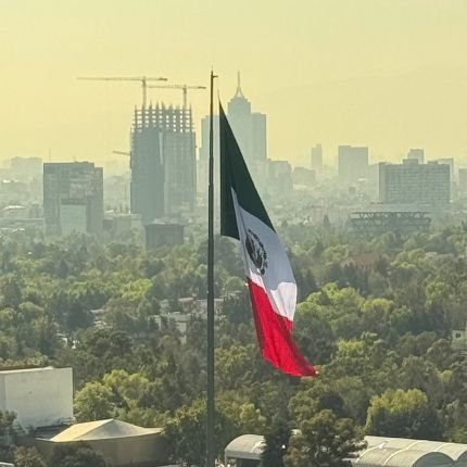 2017Discovery's profile picture. Lo peor que le ha pasado a México es AMLO.