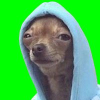 Million Dollar Baby (@dmoneysme) 's Twitter Profile Photo