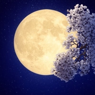 ミナノフ🌜さんのプロフィール画像