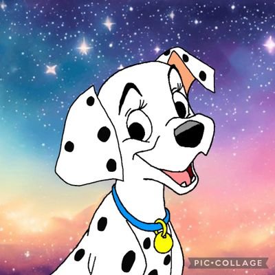 Hello, I'm Penny, one in 15 original Dalmatian puppies. I'm the Lightest of the bunch, and I'm a daddy's girl. #Mate @SideXKickCorg ❤️
