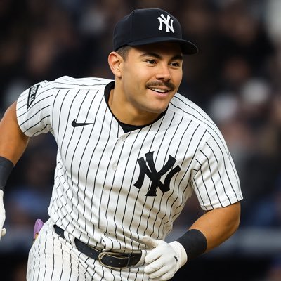 JassonWells's profile picture. Parody Account. #NYY thoughts and opinions. (Occasional #NYK content). Let’s go Yanks! #RepBX #PinstripePride