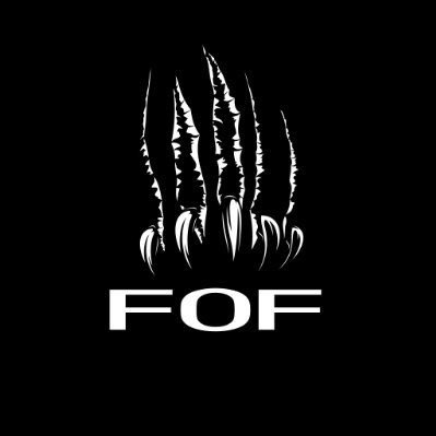 FoFeSportsORG's profile picture. loading...
