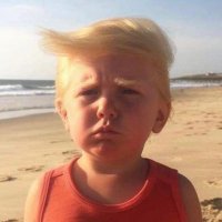 Mini Maga (@minimaga1000) 's Twitter Profile