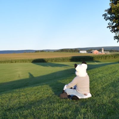 Summer Camp Fox Profile