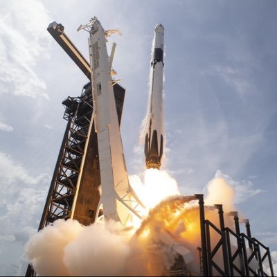 elon_x_314's profile picture. MAGA VOICE ✨🇺🇸