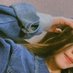 Tahea (@tahea160) Twitter profile photo Tahea (@tahea160) Twitter profile photo