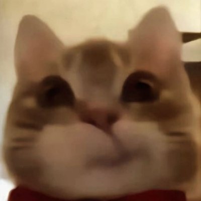 @ratztro