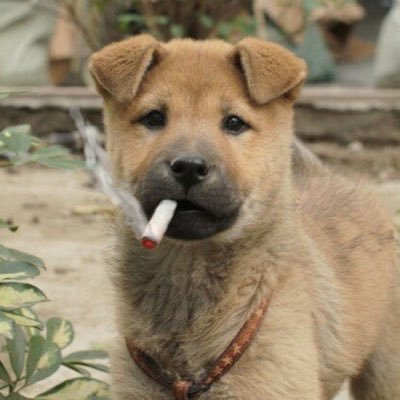 THINK.さんのプロフィール画像