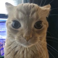ede (@telleredee) 's Twitter Profile Photo ede (@telleredee) 's Twitter Profile Photo