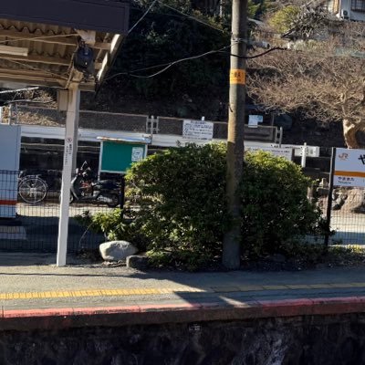 shino_rin's profile picture. 猫好き、海嫌い、乃木坂3期箱推し、岩本蓮加、与田祐希。