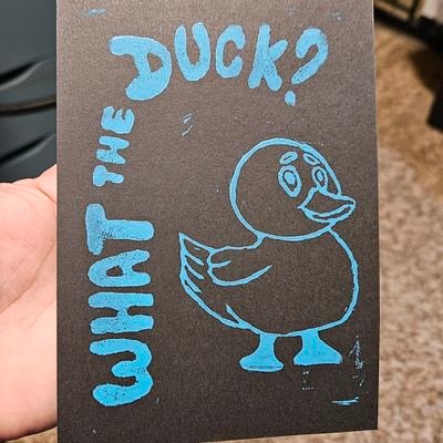 wendyvs0125's profile picture. Monkeyshine hunter. Rogue hider and finder.